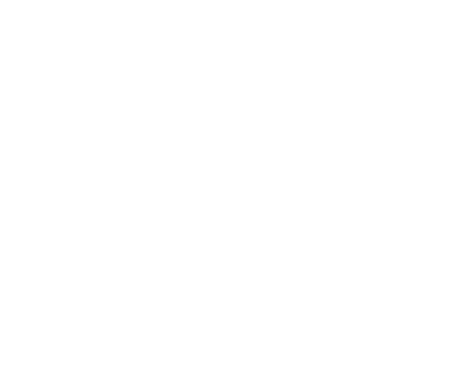 3SS