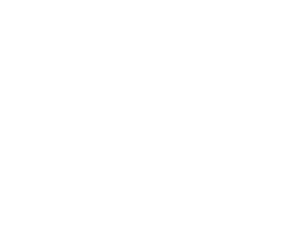3SS
